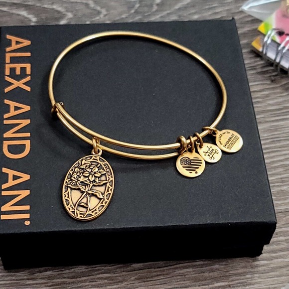 Alex and Ani Because I Love You Friend II Charm Bracelet - Picture 2 of 13